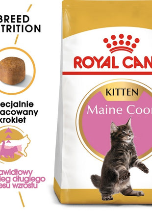 Royal Canin Maine Coon Kitten karma sucha dla kociąt, do 15 miesiąca, rasy maine coon 4kg