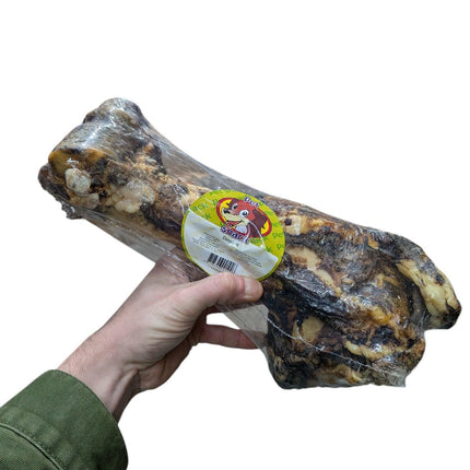 Petsnack Dinobot verpackt