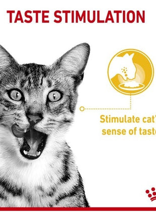 Royal Canin Sensory Taste w sosie karma mokra dla kotów dorosłych saszetka 85g