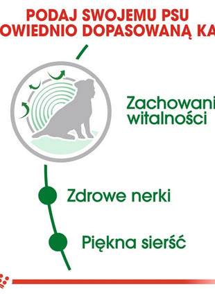 Royal Canin Mini Ageing 12+ karma sucha dla psów dojrzałych po 12 roku życia, ras małych 1,5kg
