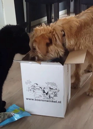 Braaaf Soft Snack Zalmstick met wortel en sperzieboon
