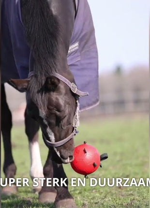 Excellent Horse Fun Play Ball Oranje