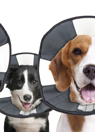 Zenpet Procone