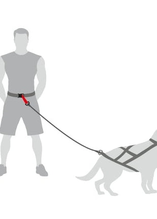 Dingo Pas do biegania Profi - 4 możliwości zapinania