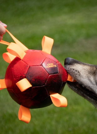 Dog Comets Ball Hypernova