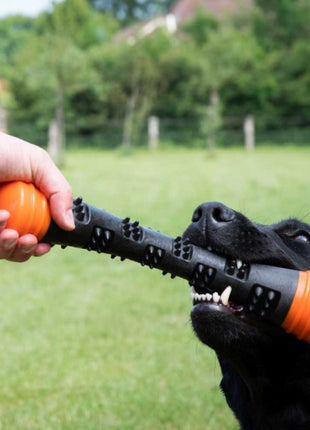 Dog Comets Meteor Wurfstock