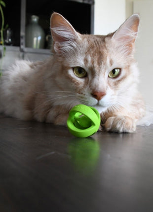 Crazy Cat Wacky Wobbler Grün
