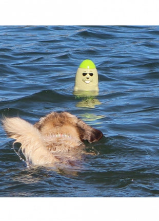 DOOG Seal - Lieutenant Flipper