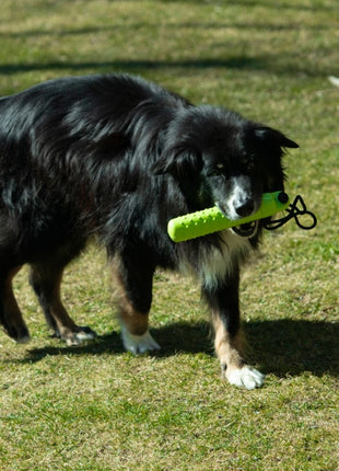 PROCYON Magic Treat Dummy