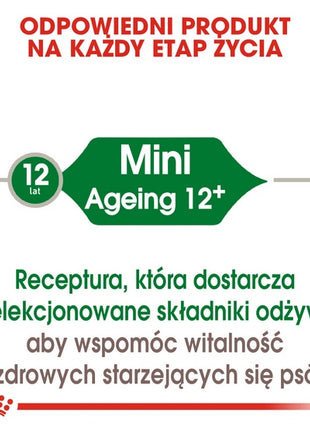 Royal Canin Mini Ageing 12+ karma sucha dla psów dojrzałych po 12 roku życia, ras małych 800g