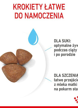 Royal Canin Mini Starter Mother&Babydog karma sucha dla szczeniąt do 2 miesiąca i suk karmiących ras małych 1kg