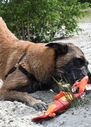 Hozies Jeffrey Jungle aus Feuerwehrschlauch