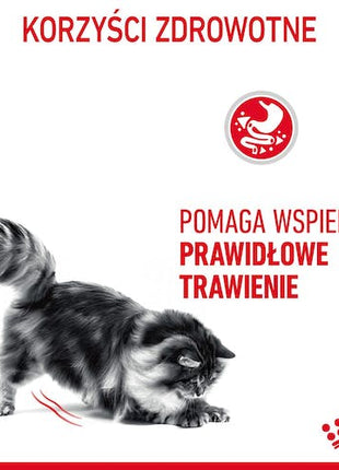 Royal Canin Digestive Care karma mokra w sosie dla kotów dorosłych, wrażliwy przewód pokarmowy saszetka 85g