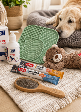 Fidello verwenpakket voor oudere honden – comfort, kalmte en verzorging voor je senior hond