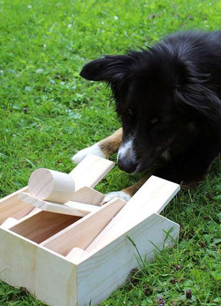 PROCYON Intelligenzspielzeug Hundeklavier