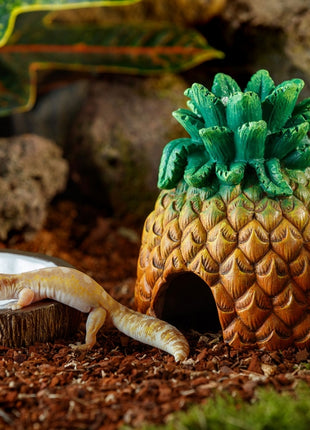 Exo Terra Tiki Ananas-Versteck