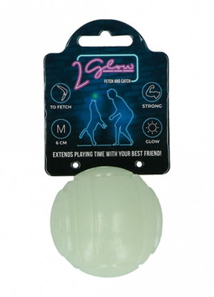 2Glow Fetch and catch 2 match- Leuchtball