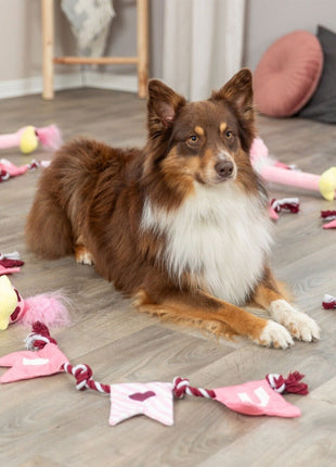Trixie Hundespielzeug Valentines Strauß