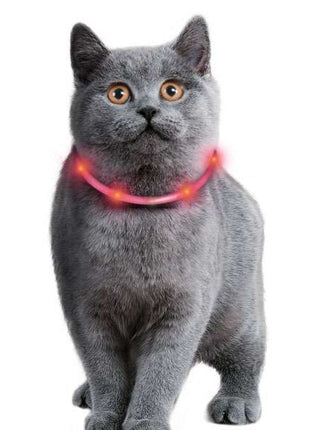 Karlie Visio Light Cat LED-Schlauch mit USB