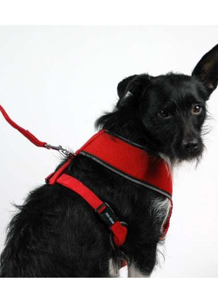 Pet-Star Softgeschirr / Netzgeschirr