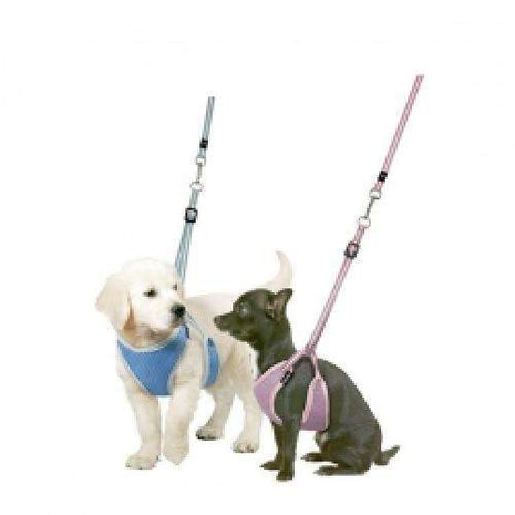 Karlie Flamingo Puppy Geschirr mit Leine - Blau